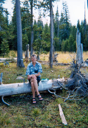 Walter A Cooke at Lake Tahoe with Ponderosa Pines